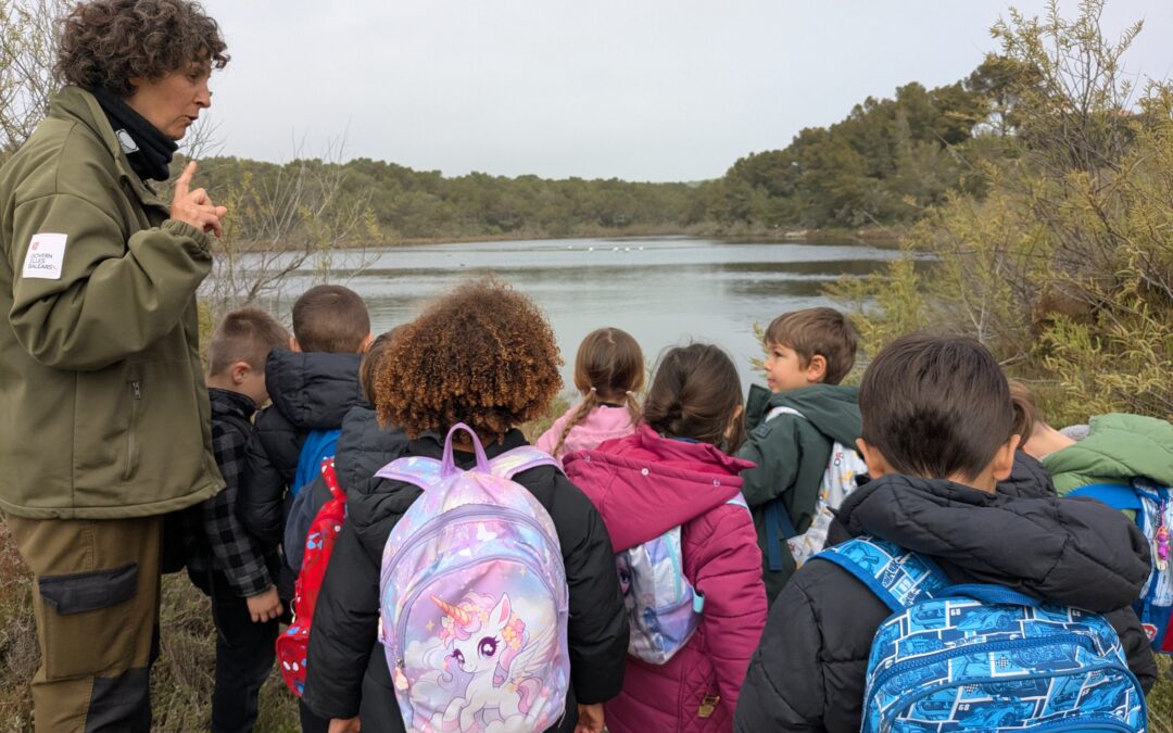 Cinquè d’infantil descobreix qui viu a l’Albufera